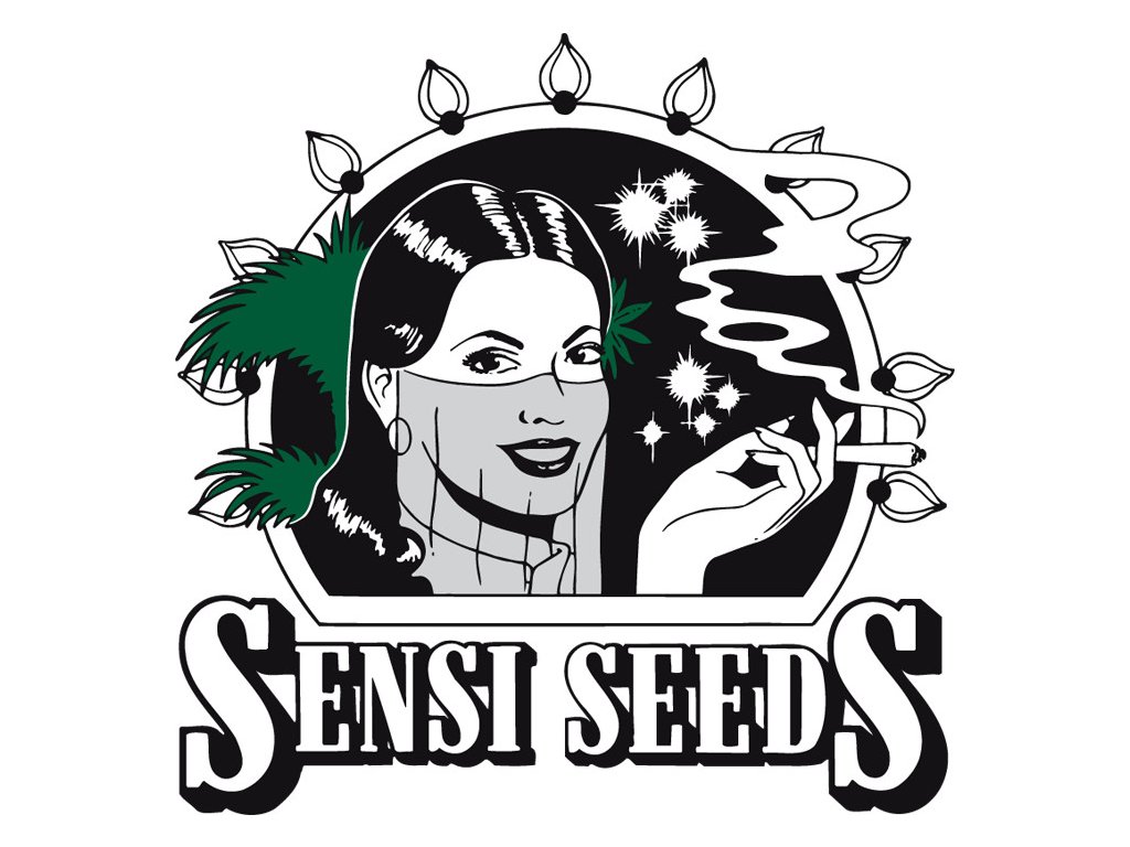 sensi seeds